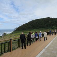 白米千枚田の展望エリアです。