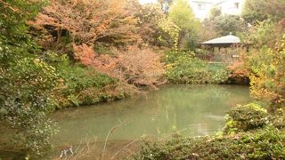 鶴ヶ峰駅から歩いてすぐ