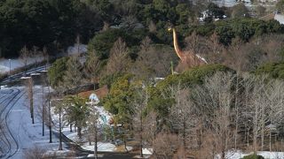 冬・・・温室でポカポカ