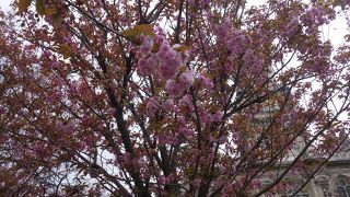 街中にある大きな教会