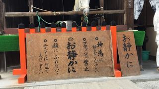 神聖な気持ちになります。