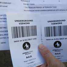 アンダーグラウンド席のチケット