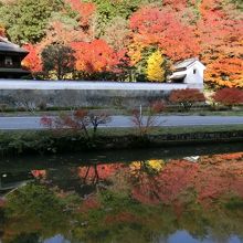 和楽園の池に写し鏡となった紅葉