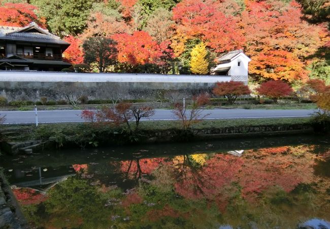 山里の旧家の庭園