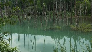 青くなかった。。。