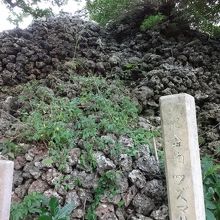 木が生い茂り薄暗く不気味