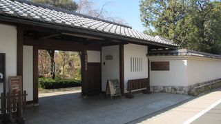 梅が咲き始めていました