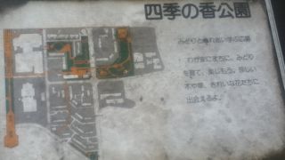 多くの遊具や草花がある