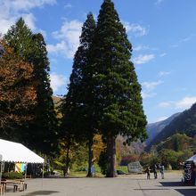 角館駅から抱返り渓谷までは無料のシャトルバス By たびたび 抱返り紅葉祭のクチコミ フォートラベル