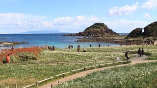 JRのポスターに惹かれて行ってみました。