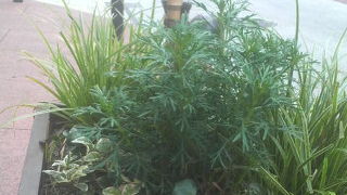 所々にベンチがあり歩きやすい商店街でした