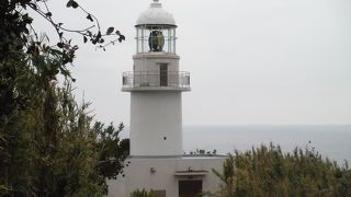 見ごたえはないが