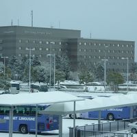 広島空港からも見えます。