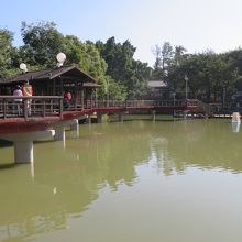 公園路沿いにある麗池