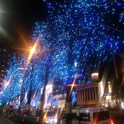 夜の大阪の別の魅力を再発見できました