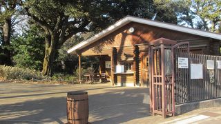 鳥の鳴き声が聞こえます