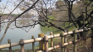 有名な桜の名所