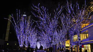 イルミネーションが綺麗