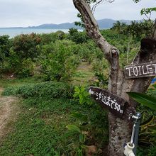 ビーチに降りる道