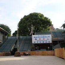 蝉の声だけがする境内