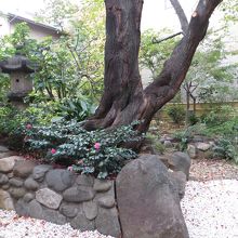 中庭　博物館の中は写真撮影禁止でした