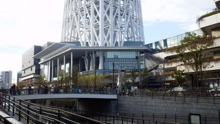 スカイツリーの真下の橋