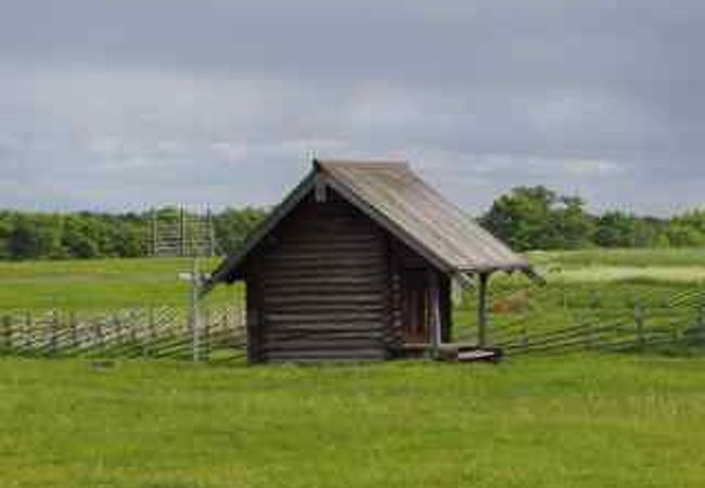 木造の小屋