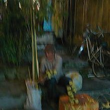 葉で折ったバッタなどを売る人