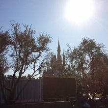 入口付近、木々から見えるシンデレラ城