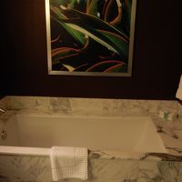 深いバスタブ（小さなテレビも付いてます）