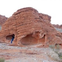 Beehives（蜂の巣という意味）