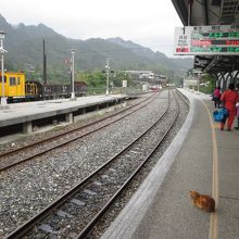 駅の風景、猫もいるときがあります。