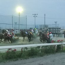 第1障害を早めに越えた馬が強いみたいです