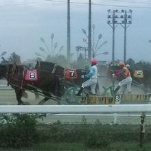 第2障害前のジョッキーの駆け引き