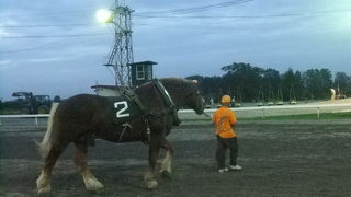 何とも不思議な世界（帯広競馬場）