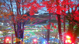 ちょっと寂しい感じ