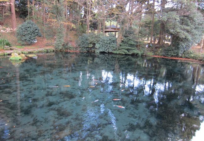 水も雰囲気もばっちり