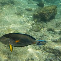 目の前の海から。