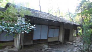 今年で１００周年