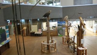 立派な建物で湿原もよく見渡せます