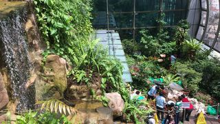 アジアらしい雰囲気を楽しめる