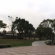 整備された都会の公園
