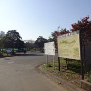 川縁に広がる公園。