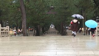 祓橋から四の鳥居にかけて連なる松並木です。