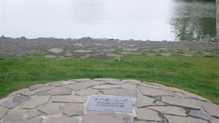 いろいろな見方が楽しめます 