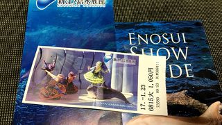 孫と一緒に近所のえのすい