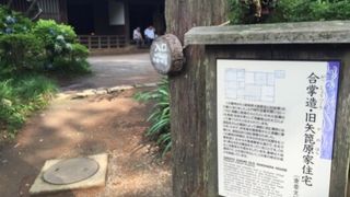 三渓園に合掌造り