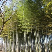 静かな珍しい公園です