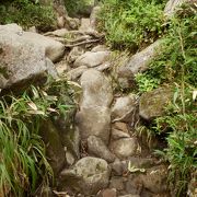 白馬乗鞍に登りました