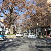 甲州街道より北側を望む